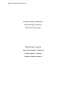 Análisis de Puesto y Clasificación