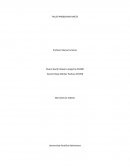 Taller Problemas Raíces