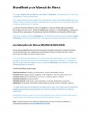 Diferecias entre branbook y manual de indetidad