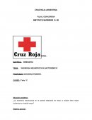 Neumonia neumococica bacteremica