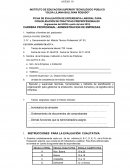 FICHA DE EVALUACIÓN DE EXPERIENCIA LABORAL PARA CONVALIDACIÓN DE PRACTICAS PREPROFESIONALES