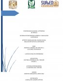 Cuidado holístico actividad integradora 1