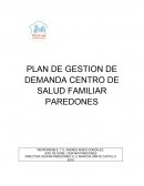 PLAN DE GESTION DE DEMANDA CENTRO DE SALUD FAMILIAR PAREDONES