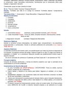 Características del Derecho Mercantil