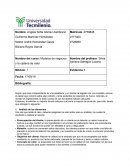 Evidencia. Modelos de negocios y la cadena de valor