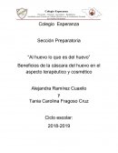 Beneficios de la cáscara del huevo en el aspecto terapéutico y cosmético