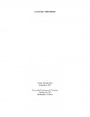 La cultura como identidad y la identidad como cultura