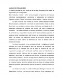 Niveles de organización de la materia