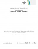 PROGRAMA DE PREVENCIÓN Y PROTECCIÓN CONTRA CAÍDAS PARA FORMACION DE TRABAJO SEGURO EN ALTURAS