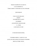 CÁLCULO DIFERENCIAL UNIDAD 2 LÍMITES Y CONTINUIDAD. GUIA DE ACTIVIDADES