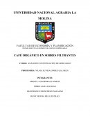 ANÁLISIS E INVESTIGACIÓN DE MERCADOS CAFÉ ORGÁNICO EN SOBRES FILTRANTES