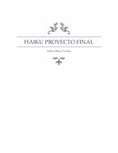 Ejemplo carpeta cine