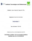 Unidad 1 - Desarrollo Cultural