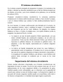 El sistema circulatorio