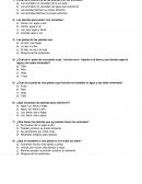 Prueba de ciencias, tercero s/r