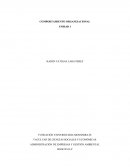 COMPORTAMIENTO ORGANIZACIONAL – UNIDAD 1 capitulo 3