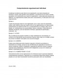 Comportamiento organizacional individual
