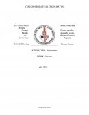 Proyectos de matemáticas