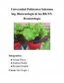 Determinación de la calidad comercial y microbiológica de vegetales, frutas, hortalizas y cereales