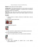 Extaccion de ADN de fresas