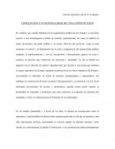 Concepción y Funcionalidad de una Constitución
