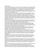 COSMOVICION ¿Qué es el pututu