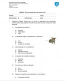 El funcionamiento de los seres vivos