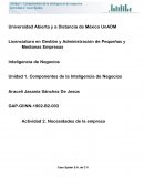Actividad 2. Necesidades de la empresa Caso Spider S.A. de C.V