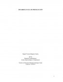 DESARROLLO GUIA DE PRESELECCIÓN