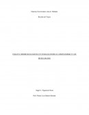 ENSAYO: DIFERENCIAS SOCIO CULTURALES ENTRE EL CRISTIANISMO Y LOS MUSULMANES