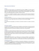 Naturaleza de la materia