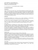 LOS VIAJES DEL APRENDIZ