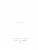 El conocimiento del conocimiento matemático