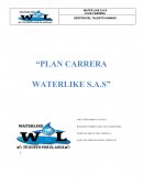 Gestión del talento humano. “Plan Carrera Waterlike S.A.S”