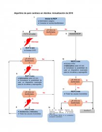 Reanimacion Cardiopulmonar (RCP). Página 1