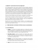 Proceso constructivo de las losas aligeradas