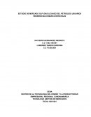 ESTUDIO DE MERCADO GLP (GAS LICUADO DEL PETROLEO) USUARIOS RESIDENCIALES MARCA ROSCOGAS