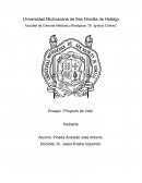 Ensayo: “Proyecto de Vida”