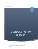 Administración De Empresas Y Ciencias Empresariales