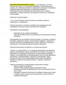 EXPLORACIÓN NEUROPSICÓLOGICA