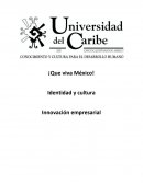 Identidad y cultura Innovación empresarial ¡Que viva México!