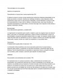 Test psicológico Los cinco grandes y como puede ayudar al emprendimiento