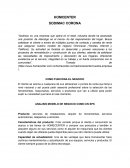 HOMCENTER SODIMAC CORONA