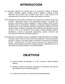 Quimica Briz
