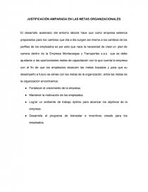 JUSTIFICACIÓN AMPARADA EN LAS METAS ORGANIZACIONALES. Página 1