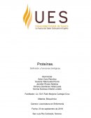 Proteinas