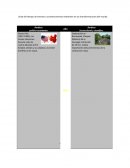 Línea del tiempo de eventos o acontecimientos