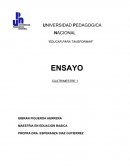 Fromacion academica ensayo