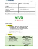 Diagnóstico y consultoría administrativa. Actividad 12 Caso viva aerobús