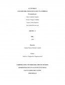 Actividad Analisis organizacional de una empresa